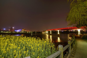 金华彩虹桥油菜花夜景