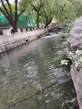 趵突泉公园