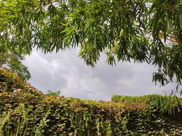 趵突泉公园
