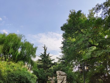蓝天白云