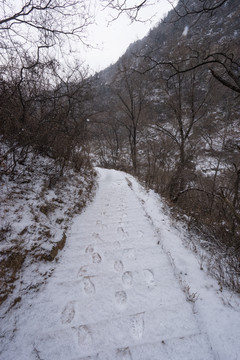 雪中小路