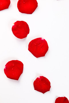 红玫瑰花瓣设计素材
