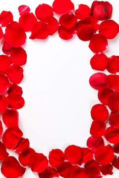 红玫瑰花瓣背景素材