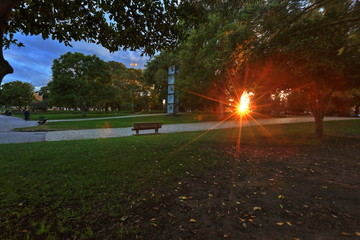 公园落日
