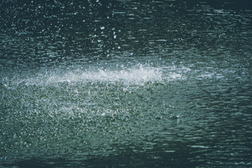 雨中水面