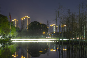 公园夜景