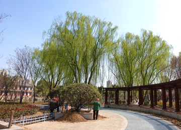 植物园