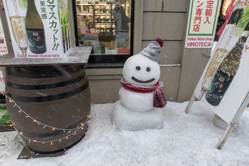 白雪覆盖的小樽街景