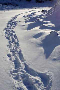 雪
