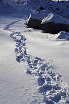 雪