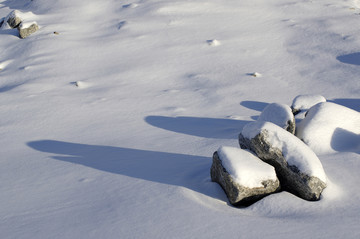 雪