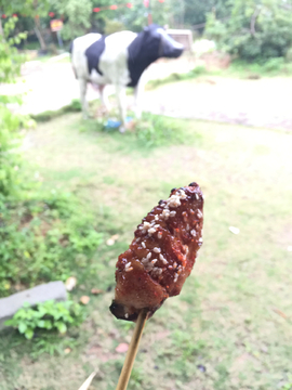 烤鸡翅中