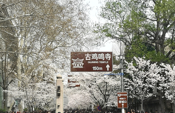 鸡鸣寺