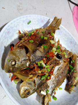鱼
