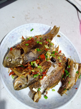 鱼