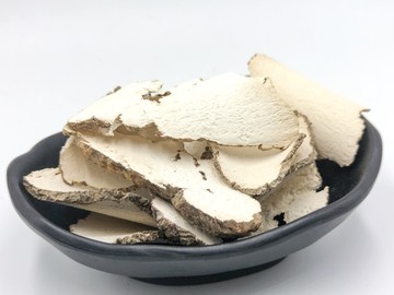 虎乳菌