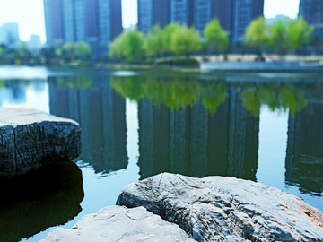 城市湖景