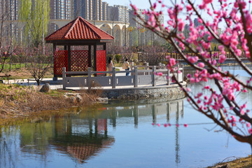 植物园