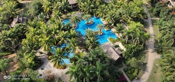 椰林泳池