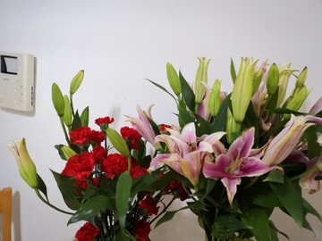 百合花