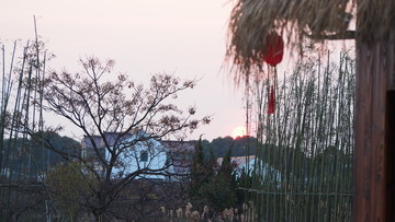 桃花源里人家