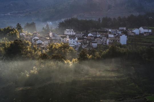 家朋梯田