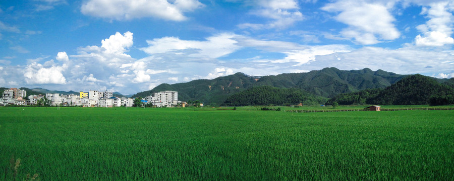 风光无限好