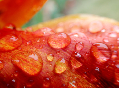 雨水和水珠