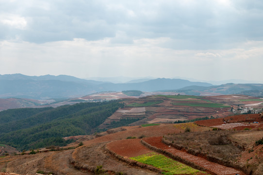 东川红土地