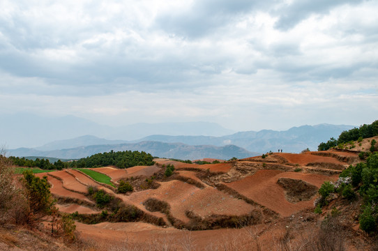 东川红土地
