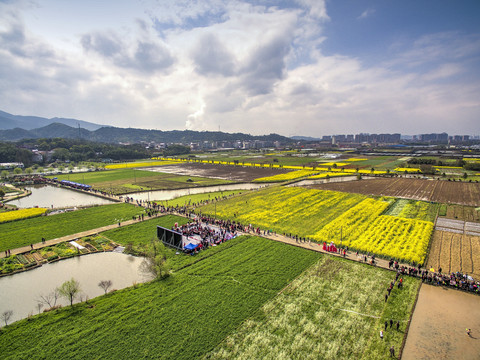 兰溪岩头村油菜花田航拍