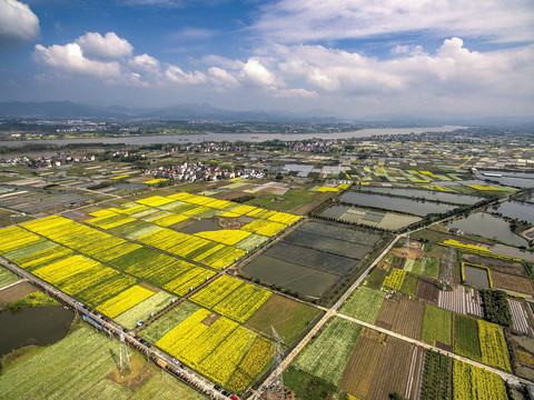 兰溪岩头村油菜花田航拍