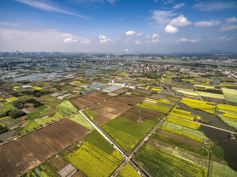 兰溪岩头村油菜花田航拍