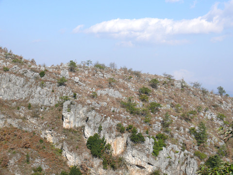 大山石头