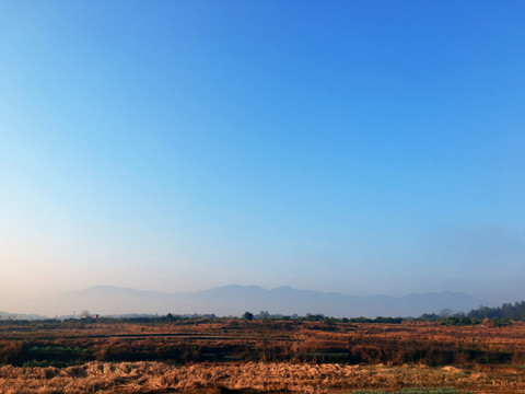 田野