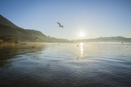 泸沽湖晨曦