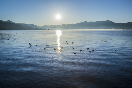 泸沽湖晨曦