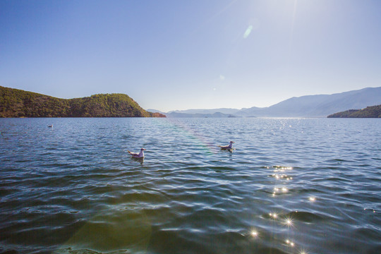 泸沽湖