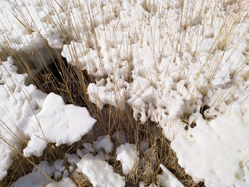 春天冰雪消融