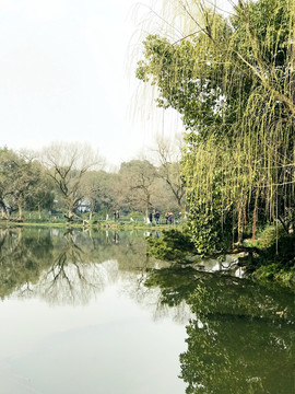 西湖风光之湖畔