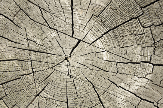 木纹裂缝