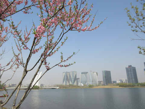 郑州龙子湖