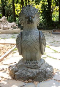 菲律宾鹰雕刻