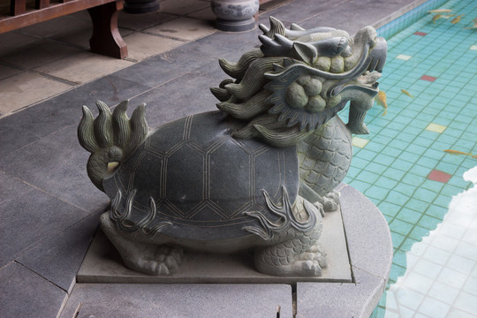 龙头龟雕刻