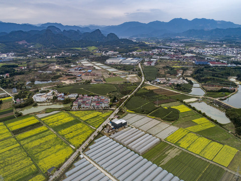 田园风光