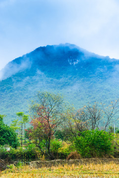 雾色山景