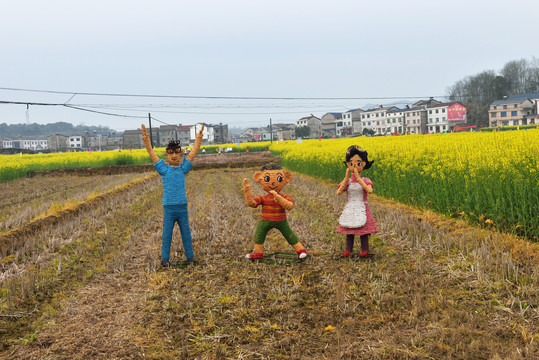 油茶地里的稻草人