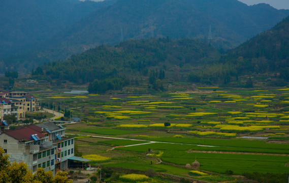 春到小山村