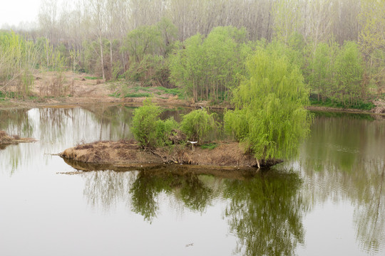 西安梁家滩湿地公园