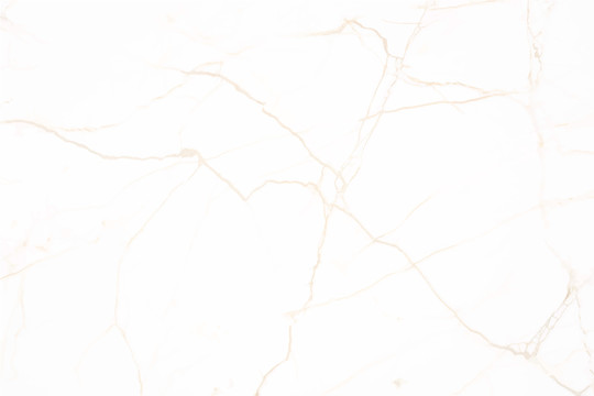 珠光白墙面大理石地板